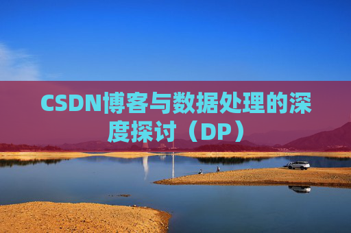 CSDN博客与数据处理的深度探讨（DP）